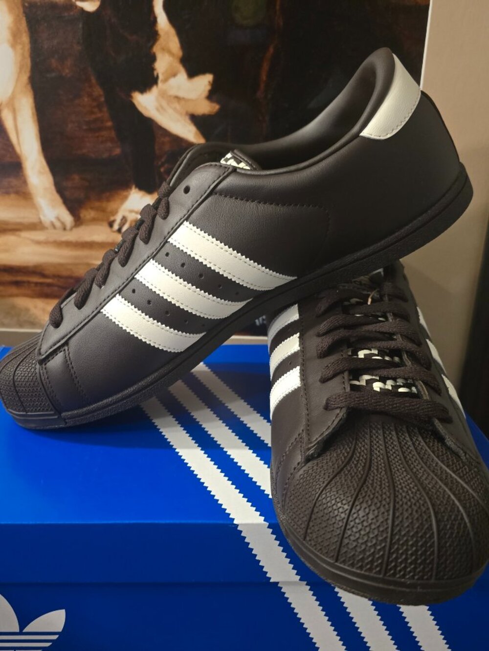 adidas SUPERSTAR LO PRO SHOES Mens US Sz 10 KK0421 Aurora Coffee / Brown NEW